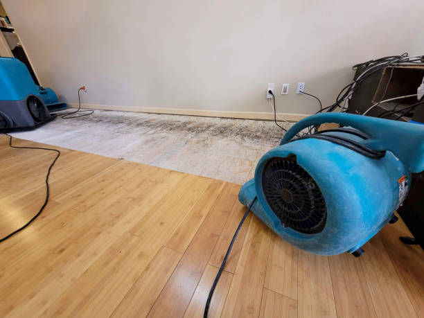 Professional Water Damage Repair technician working in Cameron, WV